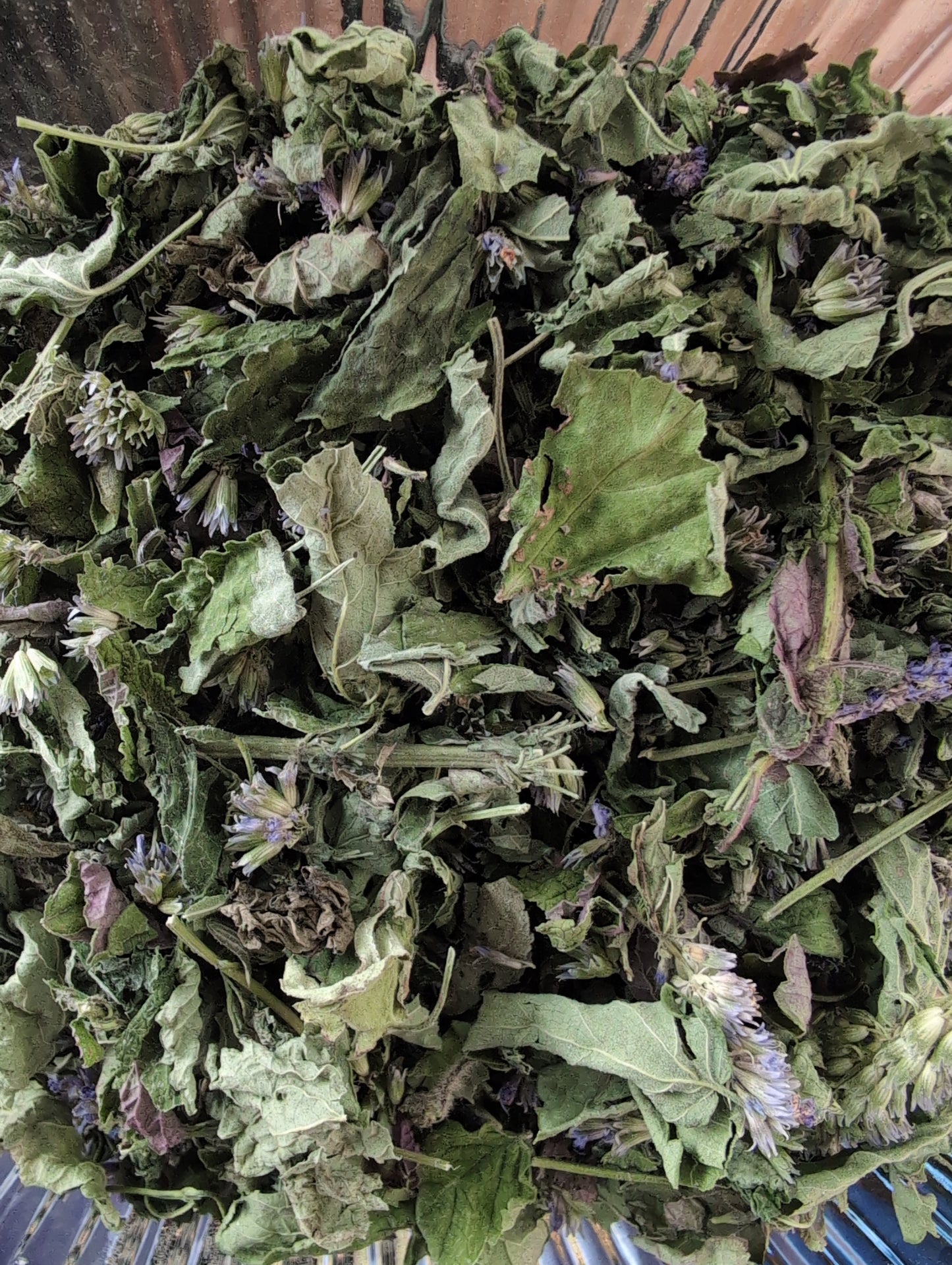Dried herbs 🌿