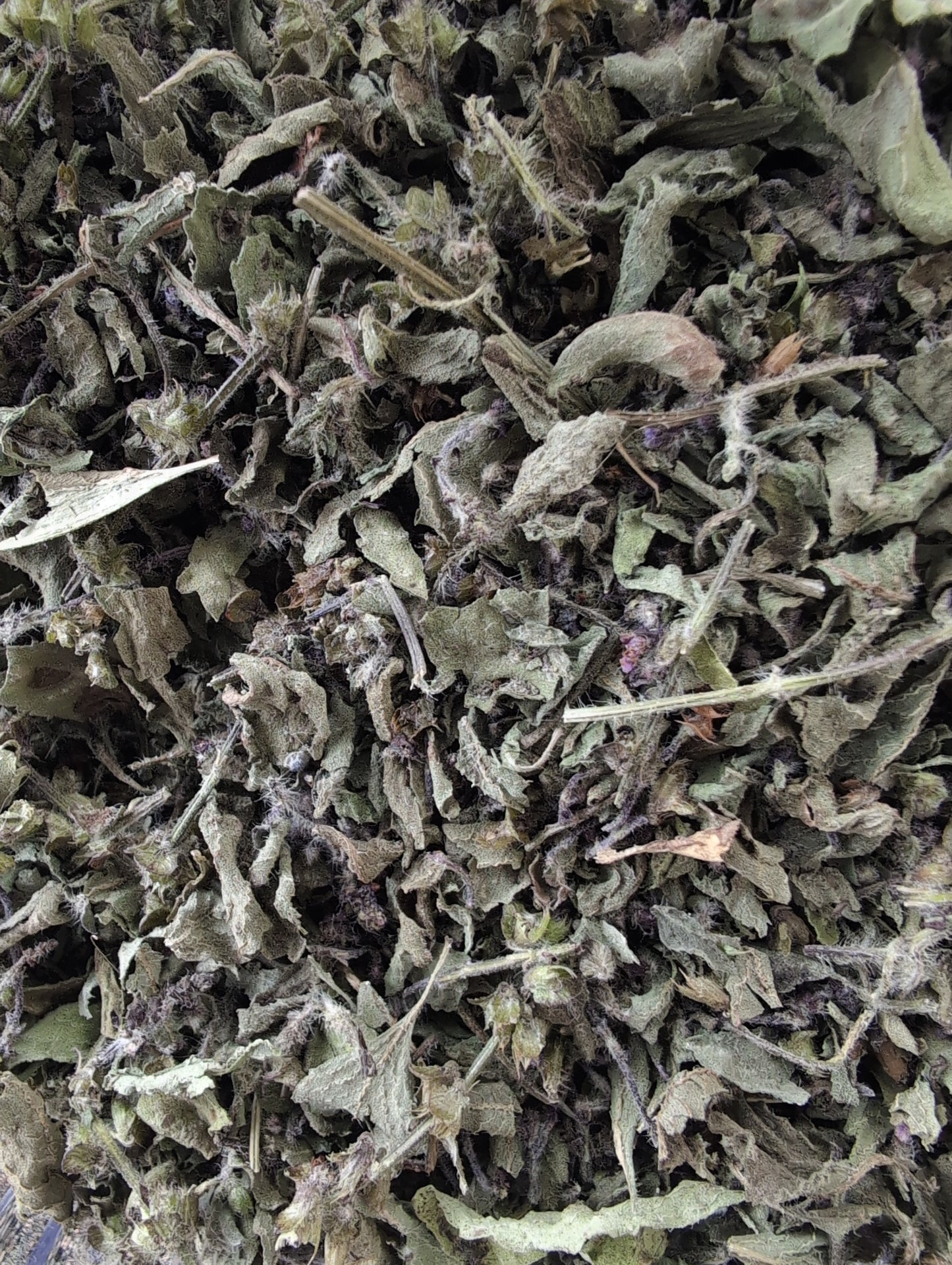 Dried herbs 🌿
