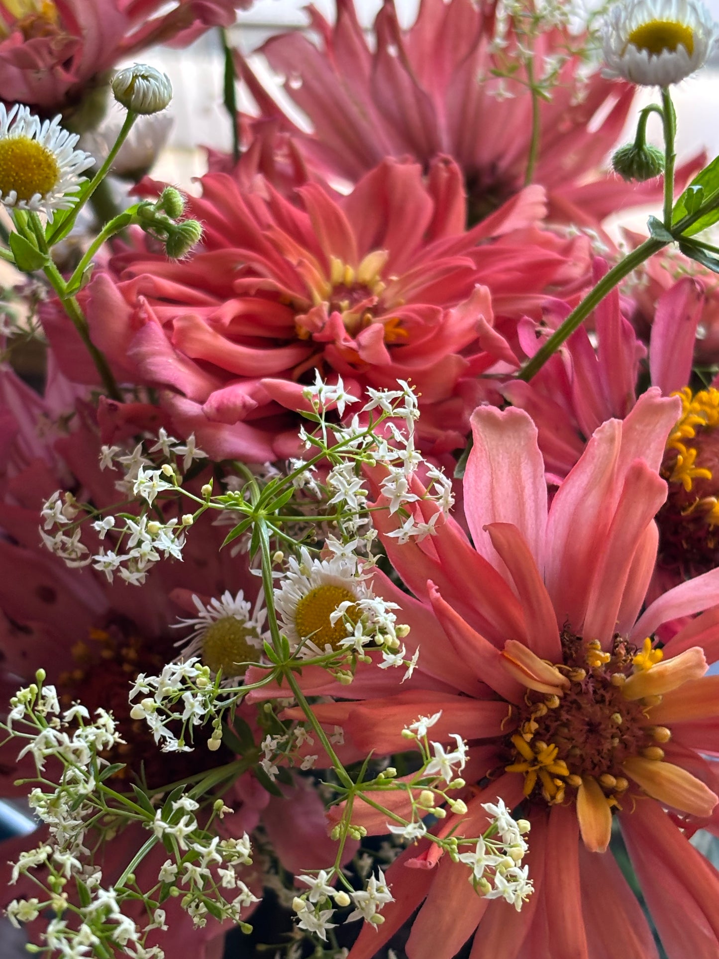 WILD FLOWER BOUQUETS