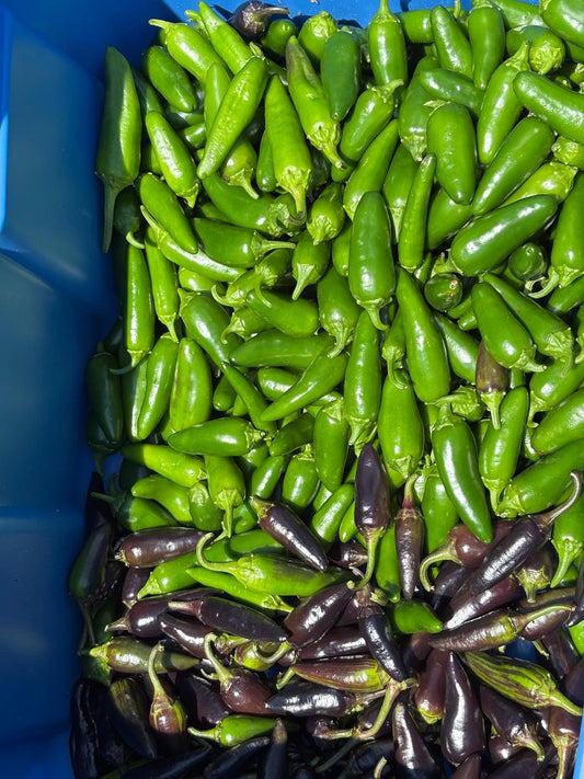 Jalapenos