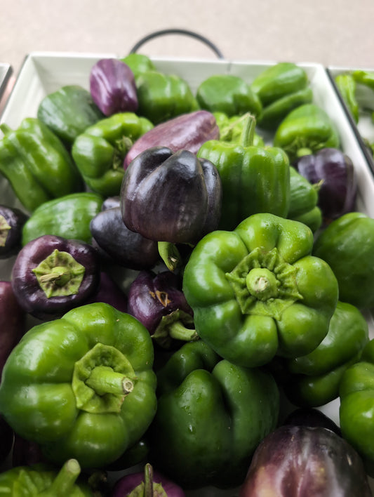 Bell peper