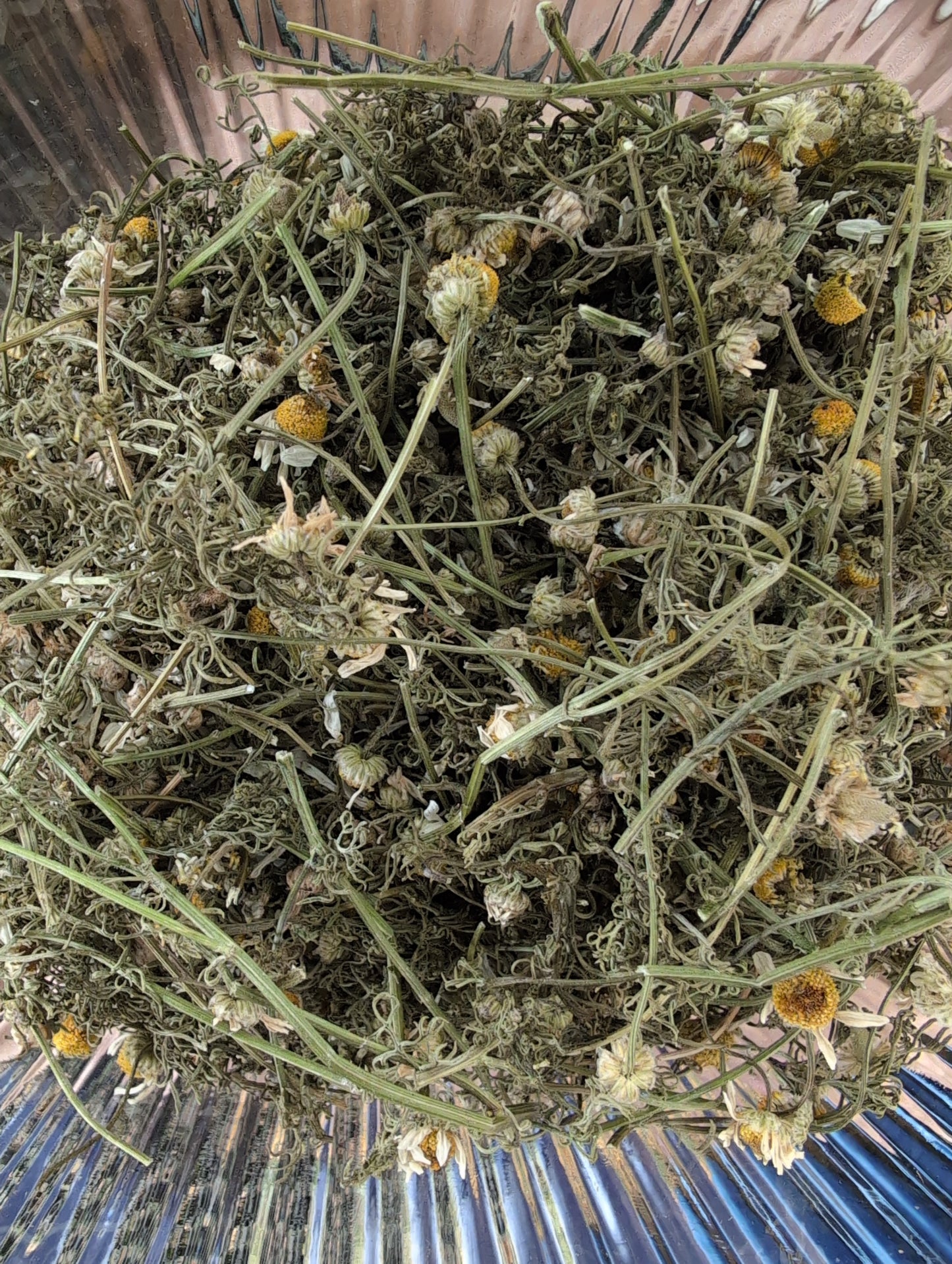 Dried herbs 🌿