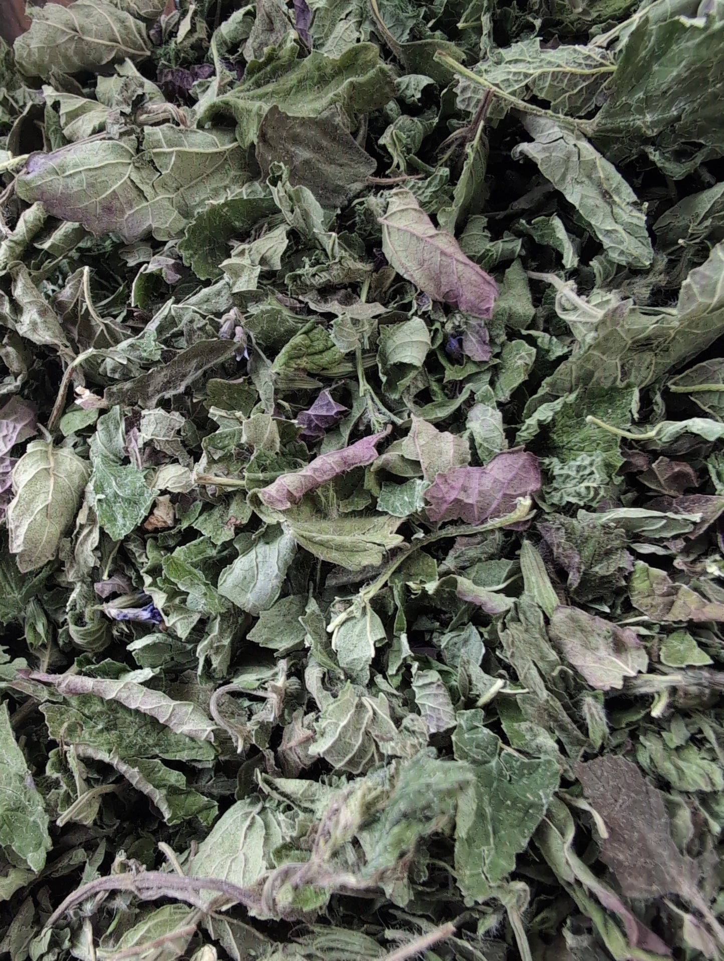 Dried herbs 🌿
